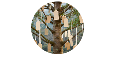 Labels hanging on a tree.