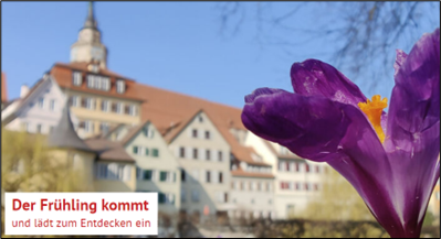 Fotografie einer lilafarbenen Blüte mit einer bunten Häuserfassade im Hintergrund und der Beschriftung "Der Frühling kommt und lädt zum Entdecken ein".