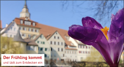 Fotografie einer lilafarbenen Blüte mit einer bunten Häuserfassade im Hintergrund und der Beschriftung "Der Frühling kommt und lädt zum Entdecken ein".