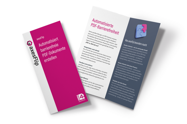 Visuelle Darstellung des axesFlip-Flyers